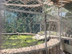 -呀路古热带植物园