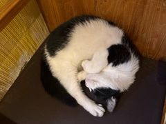 -萤火虫咖啡(后海店)