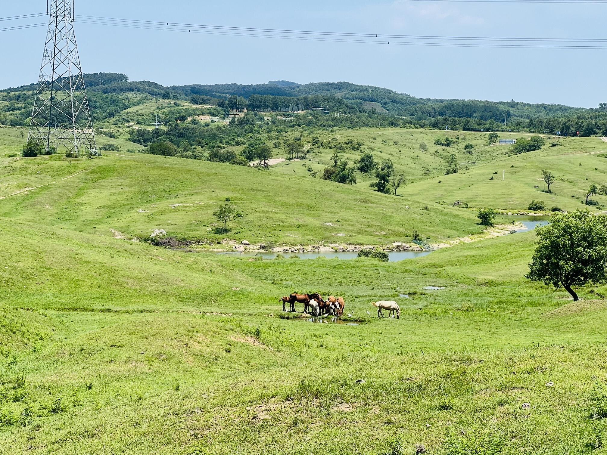 南京出发|电车自驾每周玩一地儿