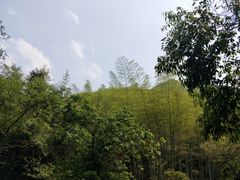 -敬亭山风景名胜区