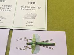 -广东省博物馆