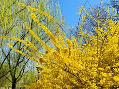 -元大都城垣遗址公园