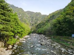 -沣峪森林公园龙潭戏水景区