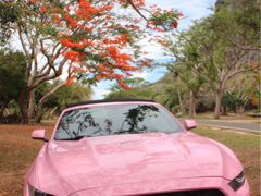 -大世界兄弟租车