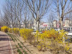 -京津佛罗伦萨小镇