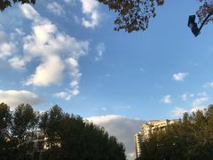 -世纪公园-世纪春沁园
