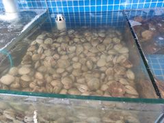 水产区-蟹谢蒸鲜自助餐厅