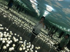-爱来魔相4D艺术馆(济州中文馆)