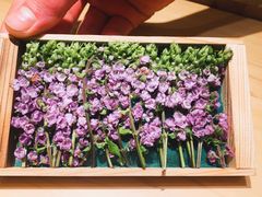 紫苏花-鮨青(恒基名人购物中心店)