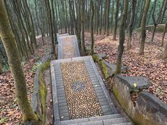 -阳台山森林公园