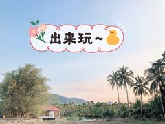 -兴隆槟榔园休闲农庄
