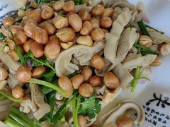 -洞背山庄(洞背院区式管理小区店)