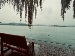 -柳莺湖上·湖景餐厅·江南菜(西湖店)