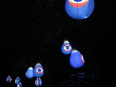 -杭州野生动物世界