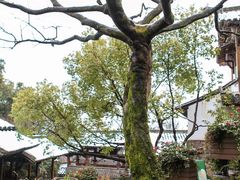 -中国茶叶博物馆(双峰馆区)