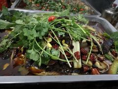 -唐氏烤鱼美蛙(西永第8分店)