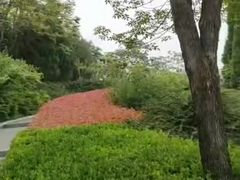 -郑州国际会展中心