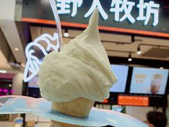 -野人先生现做冰淇淋(西安赛格店)
