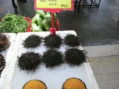 -蚝专家(北滘店)
