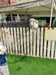 -萌宠亲子动物乐园(槐房万达店)