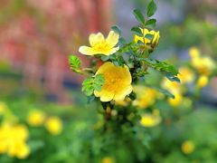 -万达广场(北京槐房店)