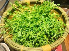 活体豌豆苗-捞王锅物料理(上海世茂广场店)