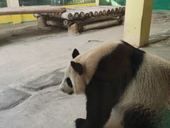 -杭州野生动物世界