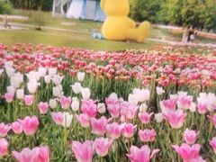 -北京国际鲜花港