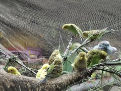 -南宫五洲植物乐园