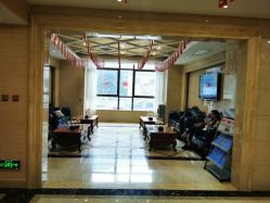 -碧莲盛·不剃发植发