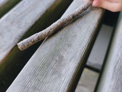 -西湖风景区-江洋畈生态公园