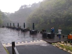 茶座-祁门牯牛降观音堂风景区