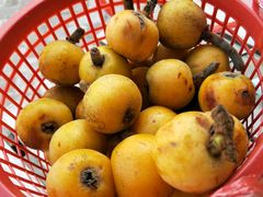 -柒月北岸民宿(西山店)