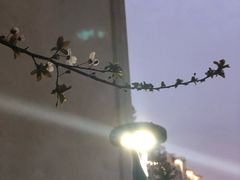 -苏州河梦清园环保主题公园