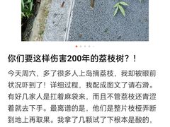 -长洲岛