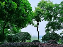 -阅江楼风景区