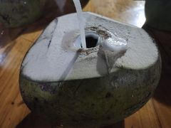 -万绿园
