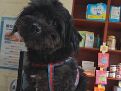 -艾贝尔宠物医院 ·内科全科(梁溪路店)