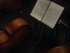 -国家大剧院西餐厅