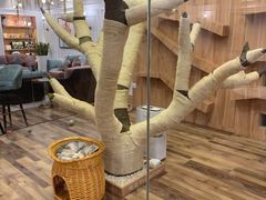 -袖虎·猫馆(体育西路店)