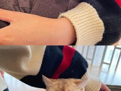 -猫にゃん · 猫的隐藏屋猫咖(麦地旗舰店)