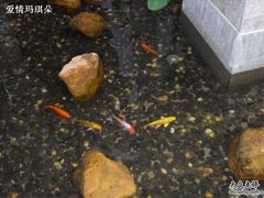 -七仙岭君澜度假酒店