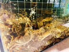 -川骄海鲜自助(亚运村店)