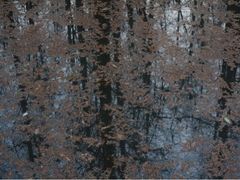 iphone_upload_pic-上海怡沁园度假酒店