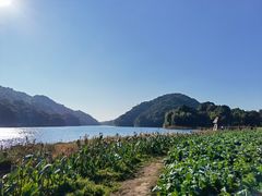 -广州市石门国家森林公园