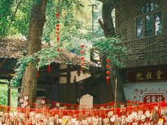 -青城山
