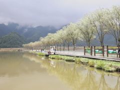 -大九湖
