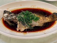 -大东海海鲜酒楼(渔人码头总店)