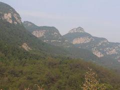 -鲁山国家森林公园