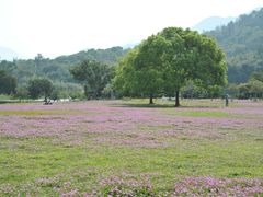 -福建鲤鱼洲酒店